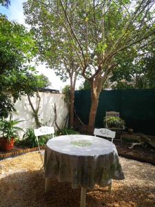 einen Tisch und zwei Stühle in einem Garten mit einem Baum in der Unterkunft Grand studio avec jardin à Saint-Aygulf in Fréjus