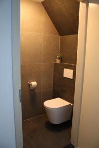 - Baño con aseo en una habitación en De Wieringerheid 162, en Den Oever