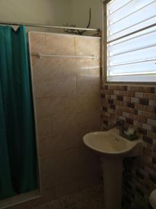 Koupelna v ubytování Brisas de Borinquen + 37 fotografií