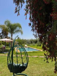 Πισίνα στο ή κοντά στο Motia's farm
