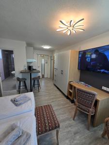 a hotel room with a tv and a living room at Bodensee Sunshine Zimmer & Apts. in Uhldingen-Mühlhofen