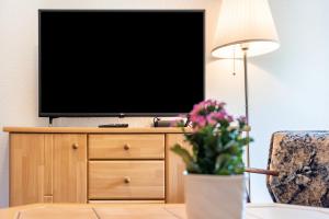 a tv sitting on top of a cabinet with a vase of flowers at Ferienwohnung 3 in Groß Zicker