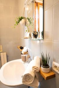 Ένα μπάνιο στο Sabbia & Pinoli - Tirrenia, Pisa