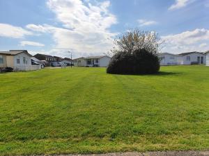 a green field with a bush in a yard with houses at Animal friendly Sea 2 mins away in Trusthorpe