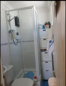 a bathroom with a shower and a toilet in it at Animal friendly Sea 2 mins away in Trusthorpe +7 photos