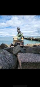 a statue of a mermaid sitting on rocks near the water at Cozy Capen Cottage in Eastport +4 photos