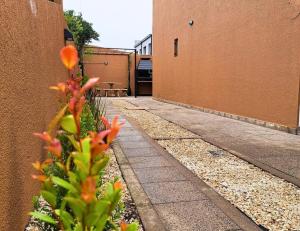 Gallery image of Calmarena in Mar del Plata