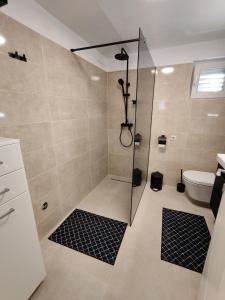 a bathroom with a shower and a toilet at Apartments MajaPaula in Slatine