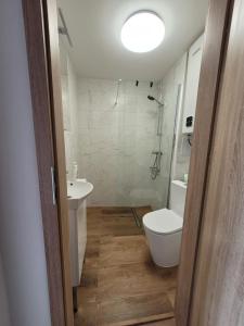 a small bathroom with a toilet and a sink at Złote Apartamenty in Kalisz