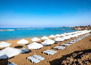 a row of white umbrellas and chairs on a beach at Beautiful 1-bd Ap near the beach historic places in Paphos