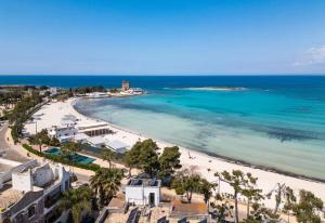 an aerial view of a beach and the ocean at Chill e Relax Sul Mare in Sant'Isidoro