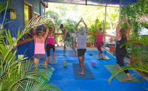 Gallery image of Tico Adventure Lodge in S&aacute;mara