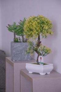 Imagen de la galería de Modern House Monolocali, en Le Castella