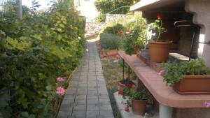 Zahrada ubytování Villa Antonio