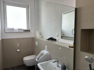 a bathroom with a toilet and a sink and a mirror at Elisas Appartment in Korntal-Münchingen