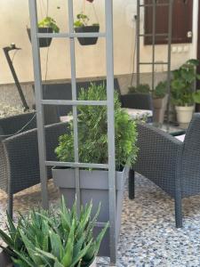 Giardino di Lilyy