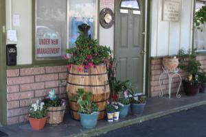 un groupe de plantes en pot installées à l'extérieur d'un bâtiment dans l'établissement El Rancho Motel, à Bishop