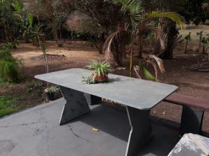 ein Picknicktisch aus Beton mit einer Topfpflanze darauf in der Unterkunft Rancho M, 5Qts - Lazer para sua família em Capitólio in Capitólio