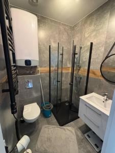 a bathroom with a shower and a toilet and a sink at Blue Apartment B, Dębina in Debina