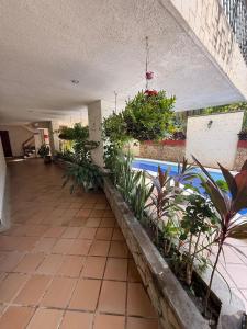 a courtyard with plants and a swimming pool at A metros de las playas de Bello Horizonte y de Centro Comercial Zazue in Santa Marta