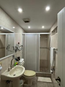マンサニージョにあるPuerto Las Hadas Apartamentosのシャワー、トイレ、洗面台を備えたバスルーム