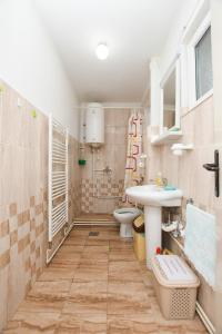 a bathroom with a sink and a toilet at Vila Popović Plaža in Kladovo