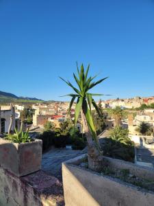 Φυσικό τοπίο κοντά σε αυτός ο ξενώνας