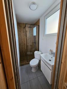 a bathroom with a toilet and a shower and a sink at Domek Wakacyjny Monika 30 in Głębokie