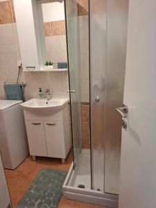 a bathroom with a shower and a sink at Apartmani Goga - Molat 6 in Molat +18 photos