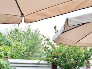 Zahrada ubytování Silistar Hotel