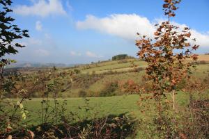 a green field with a hill in the distance at Ferienwohnung am Fuße des Poehlberg in Königswalde +1 photo