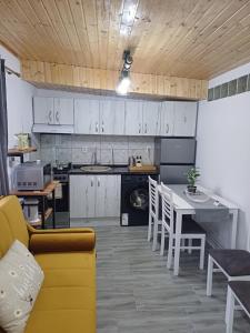 Kuchyň nebo kuchyňský kout v ubytování Casa Ioana + 8 fotografií