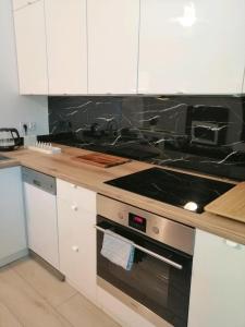 Kuchyň nebo kuchyňský kout v ubytování Apartament Mako