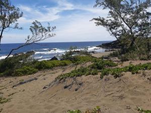 a sandy beach with trees and the ocean at Case Octave, le charme créole entre plage et campagne in Saint-Leu +4 photos