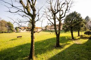 Zahrada ubytování Como-Swiss 15 min - Big Home with Parking - Terrace - Wifi