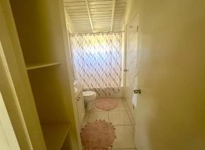 a small bathroom with a toilet and a window at Spring Top Cottage in Falmouth +18 photos