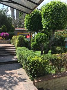 un jardín con arbustos y árboles y una pasarela en Grupo Kings Suites - Bosque de Duraznos 72, en Ciudad de México