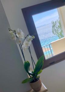 A general sea view or a sea view taken from az apartmanhoteleket