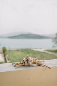 Fotografie z fotogalerie ubytování Selene Seaside Apartment v destinaci Lygia + 25 fotografií