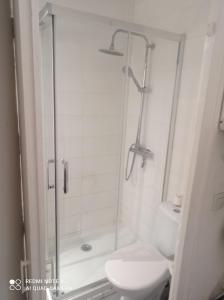 a bathroom with a shower and a toilet at Petit cocon avec terrasse à 150m de l'océan in Soulac-sur-Mer