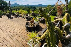 a deck with a bunch of cacti and plants at Loft no Morro da Borussia I in Osório