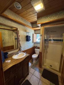 a bathroom with a sink and a toilet and a shower at Cowboy's Trail with HotTub, King&QueenBed, in UpperCanyon, Pets welcome in Ruidoso +28 photos