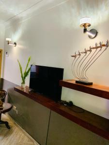 a living room with a television and a shelf with birds on it at Pleasant Places in Kabubu