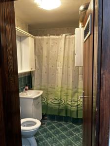 a bathroom with a toilet and a shower curtain at Magdalena in Vranješ