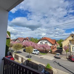 Okolie apartmánu
