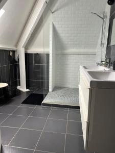 a bathroom with a sink and a shower at Maison Salignac 9 personnes in Salignac Eyvigues +21 photos
