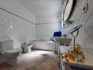 Koupelna v ubytování Villa Sirio