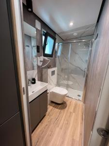 ein Badezimmer mit Dusche, Toilette und Waschbecken in der Unterkunft Vila Vesper in Drage + 35 Fotos