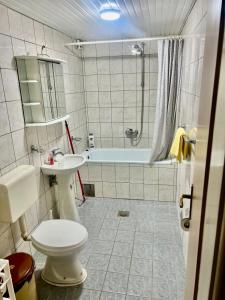 een badkamer met toilet, wastafel en bad bij RingRoad Apartment in Ohrid
