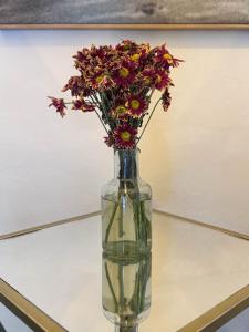 Fotografie z fotogalerie ubytování MariaBonita Petit Hotel v destinaci San Miguel de Allende + 46 fotografií
